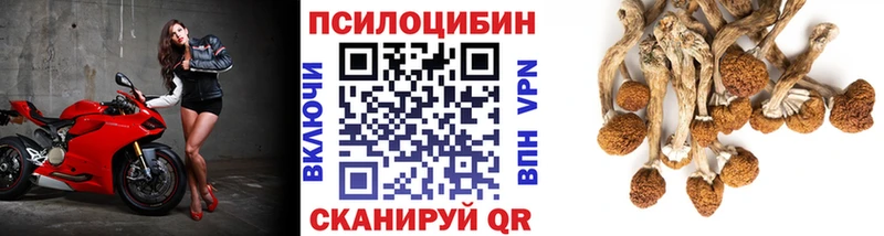 Галлюциногенные грибы мицелий  как найти закладки  Туринск 